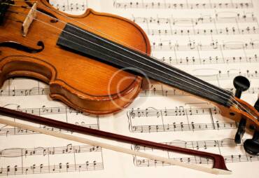 Violin